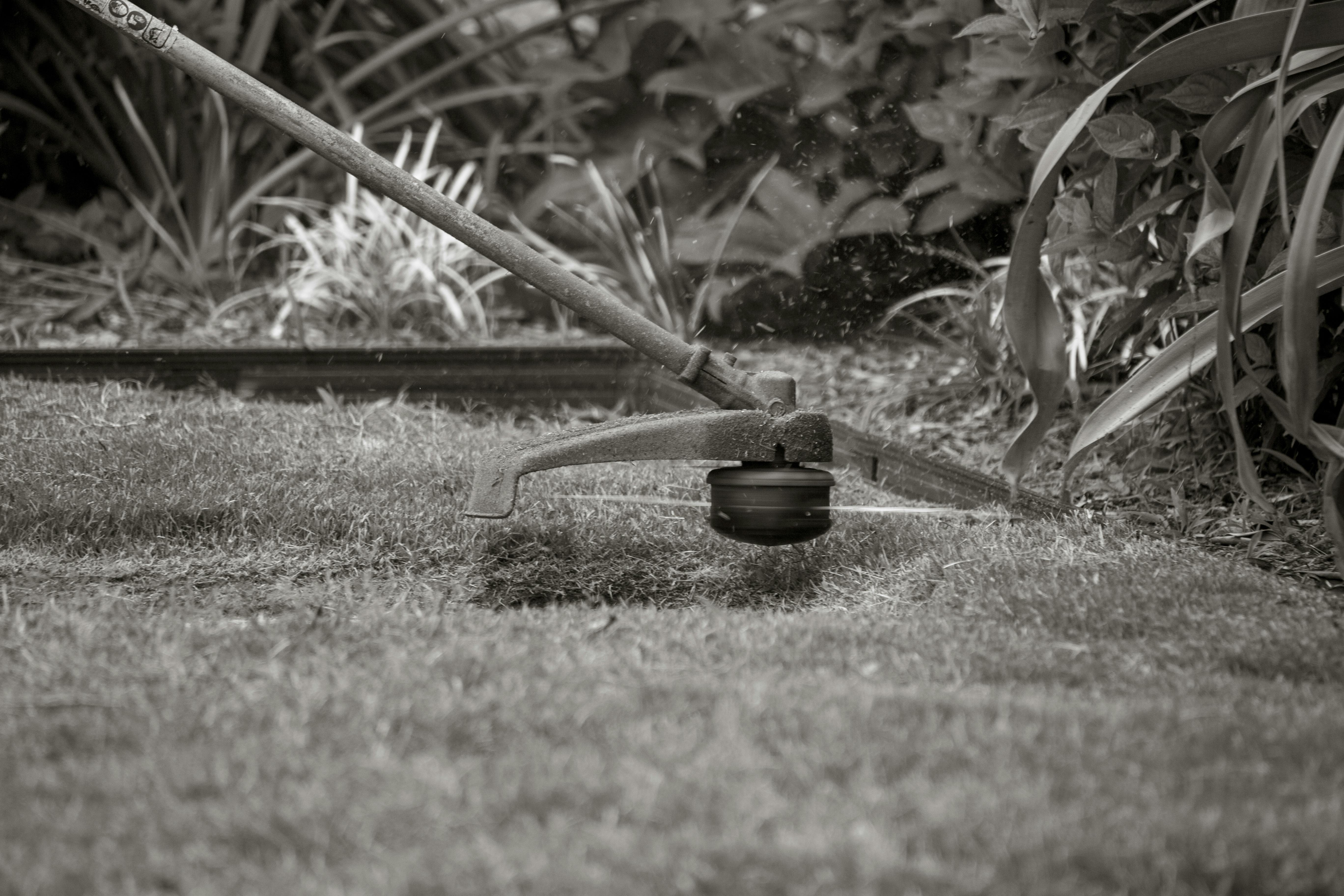 Lawn mowing service