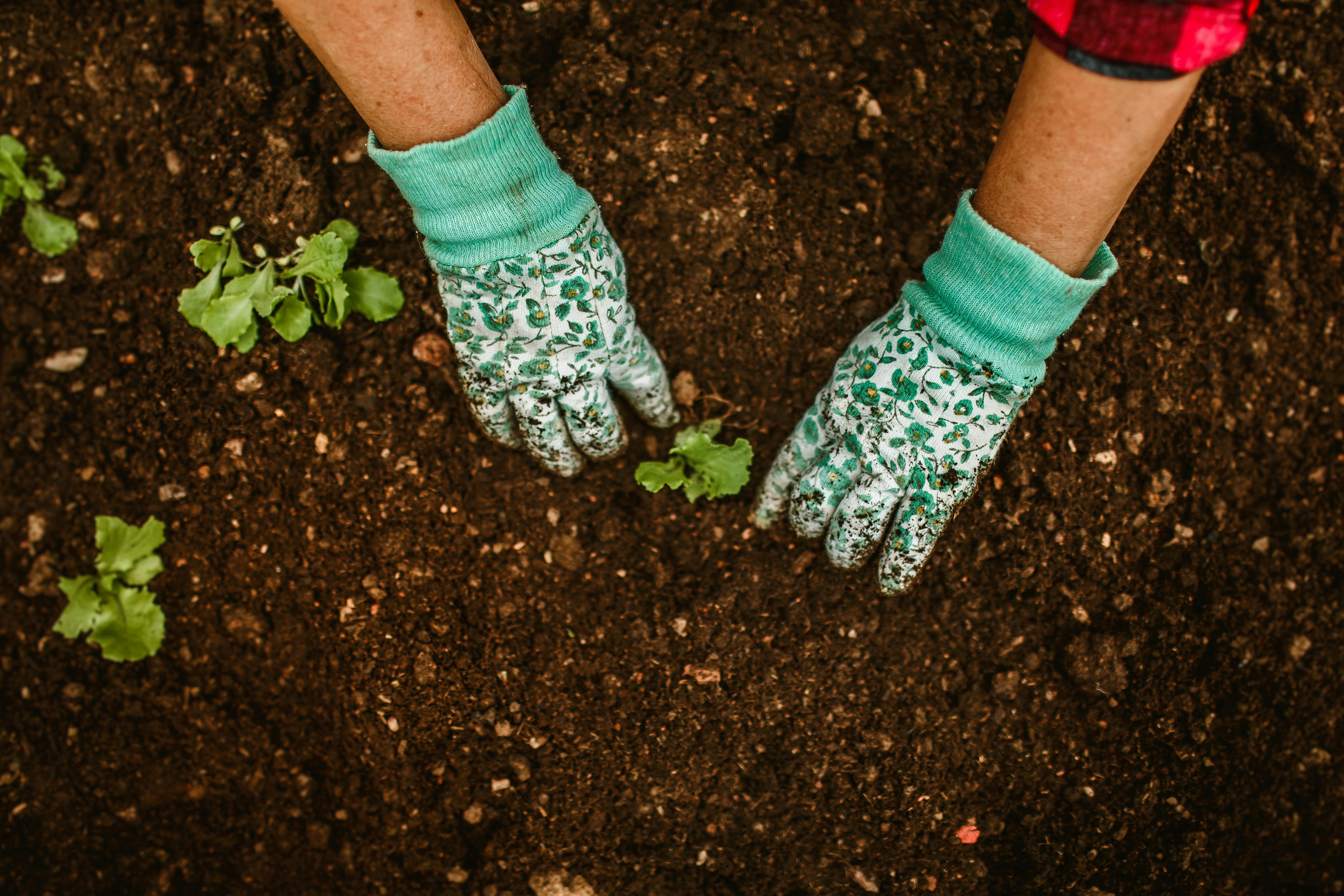 Weed control service